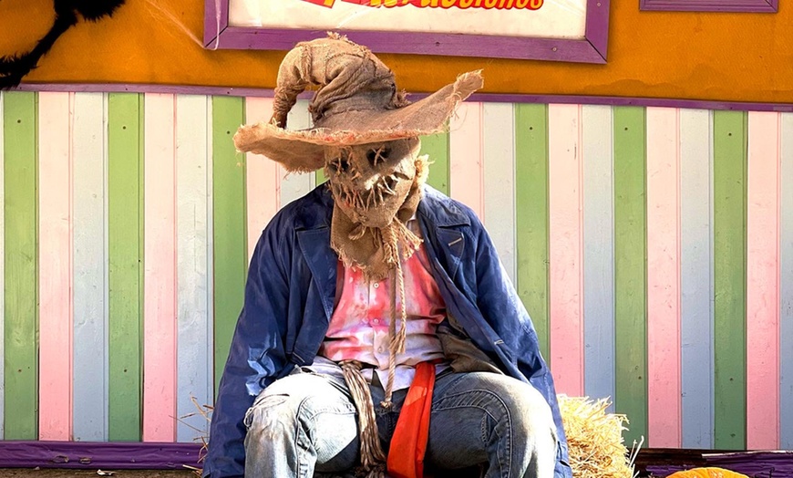 Image 2: Entrada al parque de atracciones para niño o adulto con menú incluido