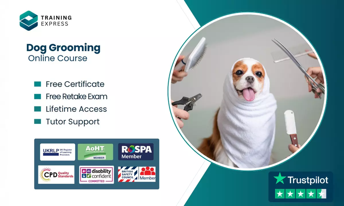 Learn Dog Grooming Online course, or Lifetime Membership to 2500+ Courses at Training Express - Up to 50% Off - Primary Image