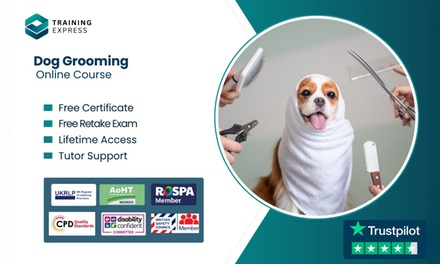 Dog Grooming Online Course - Training Express
