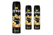 Lynx XL 48H High-Definition Deodorant Body Spray Collection – Excite and Gold Variants - Image 7