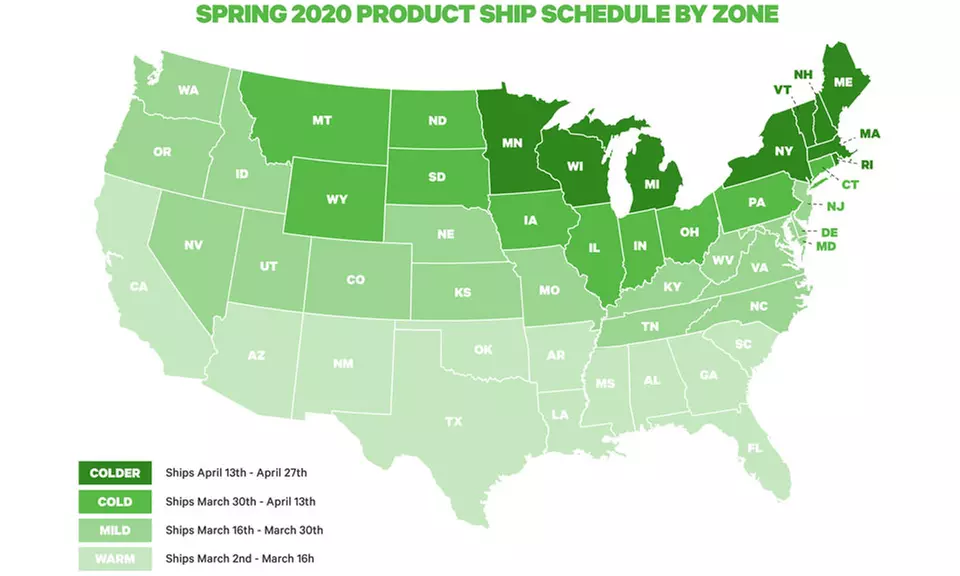 Pre-Order: Red Creeping Sedum (3 Plants) - Second Medium