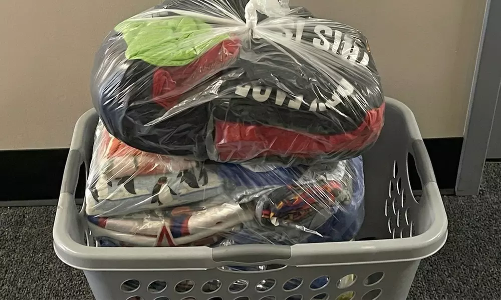 1, 2, or 3 Bags of Laundry | Wash, Fold + Free Pickup & Delivery