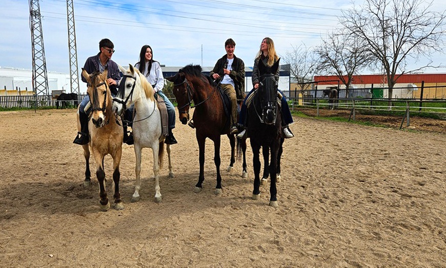 Image 7: Ruta a caballo de 90 minutos por el Aljarafe hasta Itálica