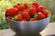 Summer Strawberry Harvest Collection - Image 4