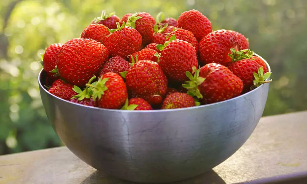 Summer Strawberry Harvest Collection