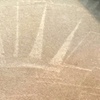 Image 3: Enjoy Eco-Friendly Carpet Cleaning at Presidential Clean Up to 60% off