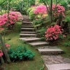Image 1: 2 o 4 piante di azalea giapponese Anouk