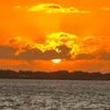 Image 8: Sunset Sightseeing & Eco History Cruises – Port Orange, FL