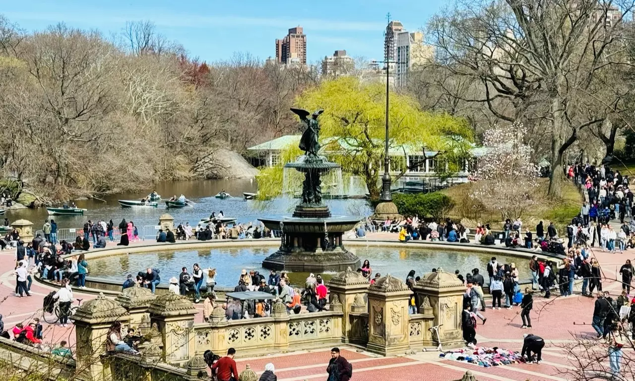 Explore Central Park with a 1 or 2 Hour PediCab Guided Tour