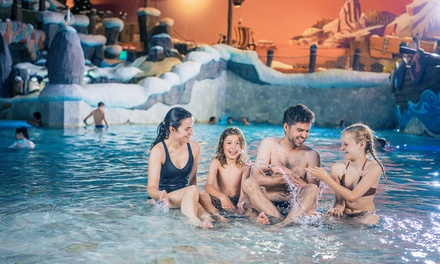 Billet 1 jour pour adulte ou enfant de plus d'1 mètre, valable jusqu'au 4 janvier 2026 - Plopsaqua