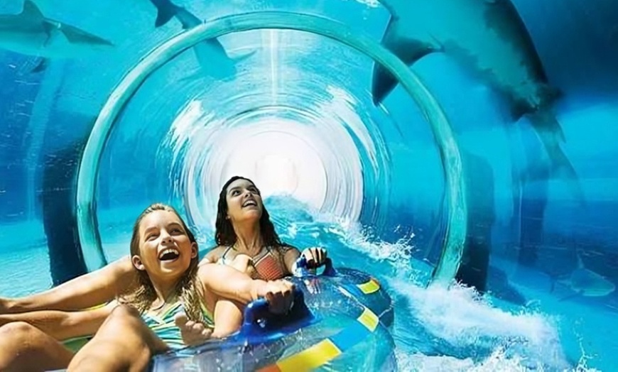 Image 3: Entry To AquaVenture-Dubai