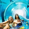 Image 3: Entry To AquaVenture-Dubai