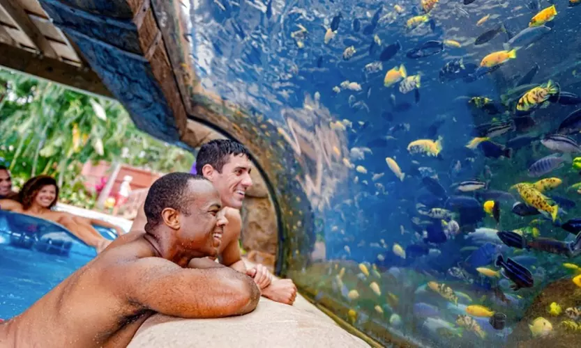 Summer Sale! Save 62% on Aquatica Orlando Tickets!