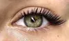 Coco Health And Beauty: One Natural Set of Eyelash Extensions with Optional Two-Week Fill (Up to 68% Off)