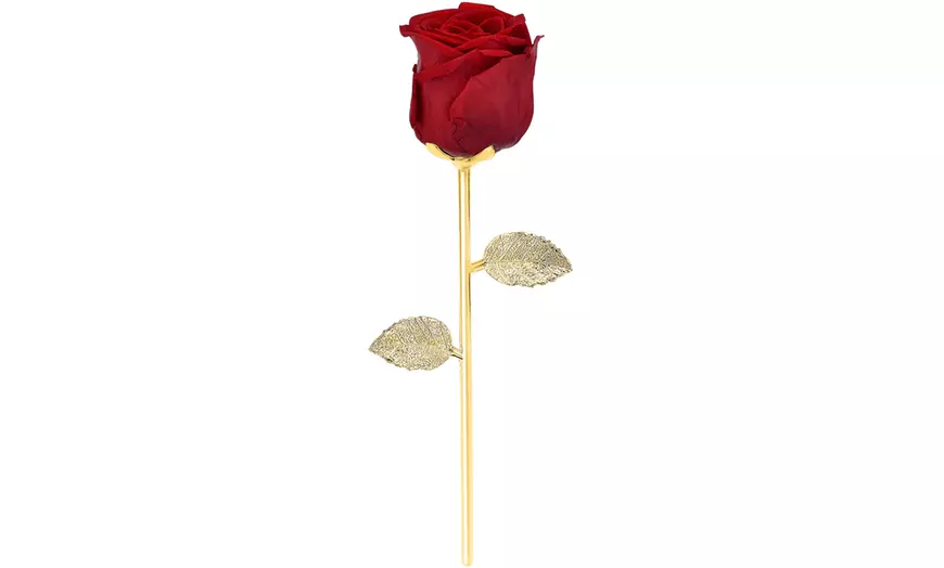 Image 4: Rosa eterna natural sobre un tallo de metal SC Crystal