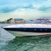 Image 1: 3, 4, 5 or 6-Hour Luxury 46ft Yacht Rental up to 12 People
