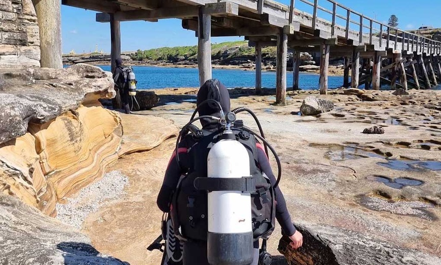 Image 3: Thrilling Underwater Adventure at Bare Island 2-3 Hours Scuba Dive