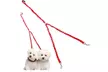 Waloo Pets Double Dog Bungee Dog Leash- Black,Red or Blue - Second Medium