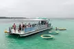 Experience Unforgettable Crab Island & Sunset Dolphin Tours with Sandy Bottom Boat Tours - Image 3