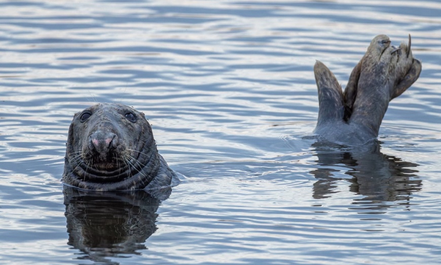 Image 4: Boddenrundfahrt mit der MS „Baltic Star“ für 1, 2 oder 4 Personen