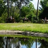 Image 1: Discover Scenic Trails on a Private Trail 1 Hour Ride 