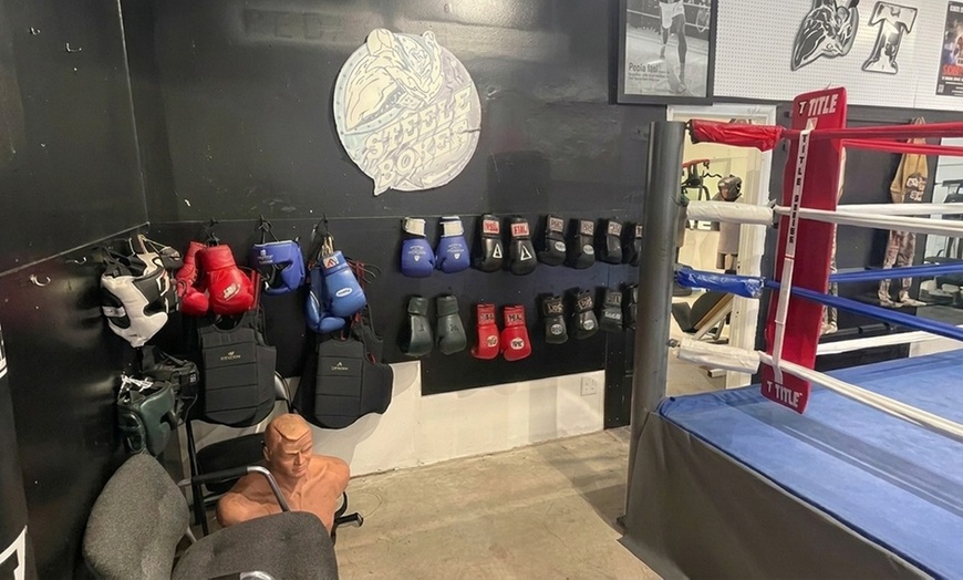 Image 3: Private Boxing & Kickboxing Classes with Progressive Learning