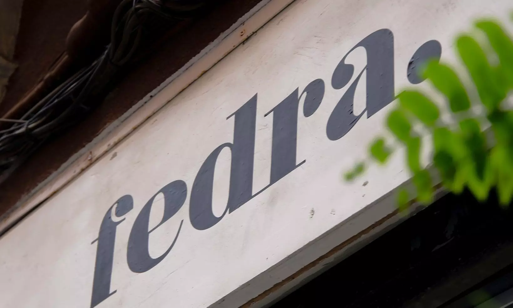 Taller de Kokedama o cuidado de plantas para 1 o 2 personas