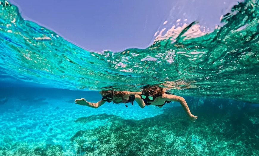 Image 4: Snorkelling con biología marina