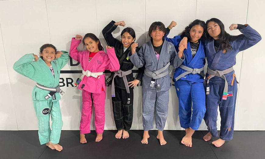 Image 3: Six Weeks of Brazilian Jiu-Jitsu Classes for One Adult or One Child 