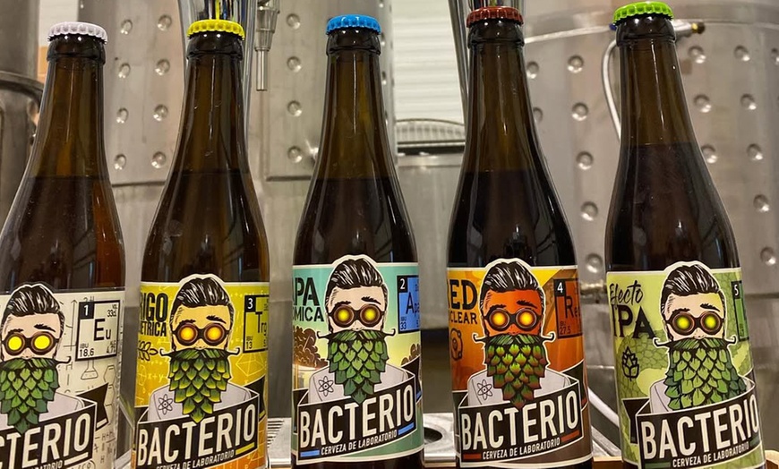 Image 3: Visita guiada a bodega con cata de cervezas y maridaje para 2 o 4