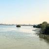 Image 11: 30 or 60-Minute Quick Scenic Cruise in Abu Dhabi for Up to 2, 3, or 4