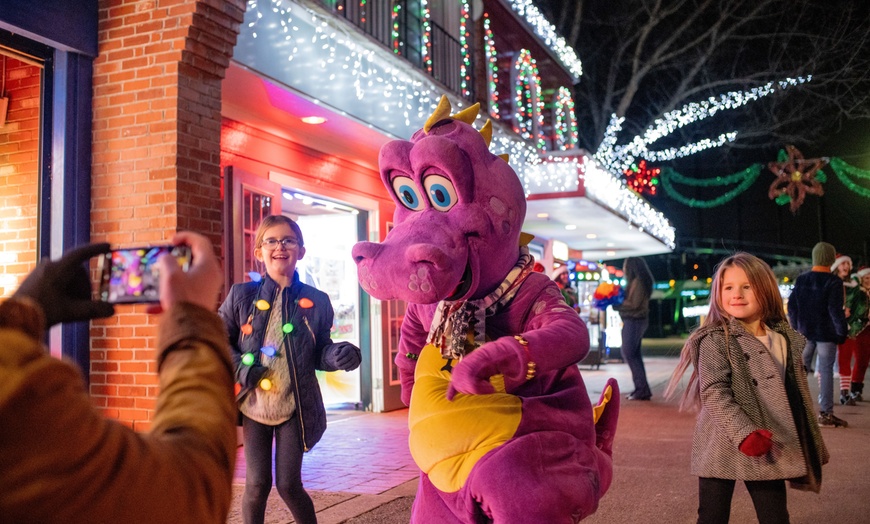 Image 3: Dutch Winter Wonderland Admission