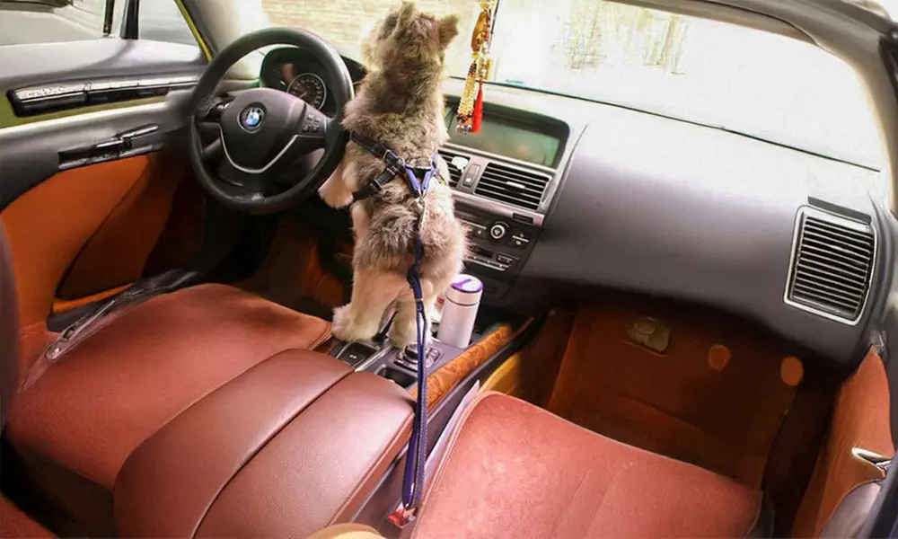 Dogs Seat Belt Vehicle Harness Headrest Restraint Adjustable Puppy Safety