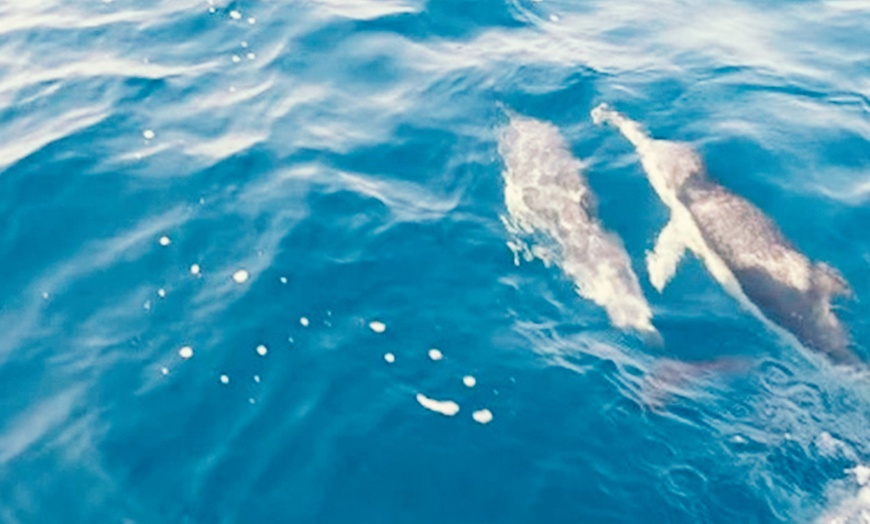 Image 3: Vuelo de parasaling por la costa de Fuengirola 