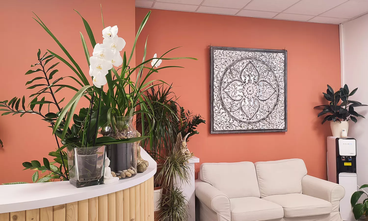 Higiene facial con microdermoabrasión y Kobido o lifting facial