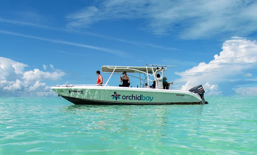 Image 16: All-Inclusive Resort with Private Marine Sanctuary Near Mayan Ruins
