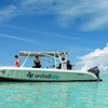 Image 16: All-Inclusive Resort with Private Marine Sanctuary Near Mayan Ruins