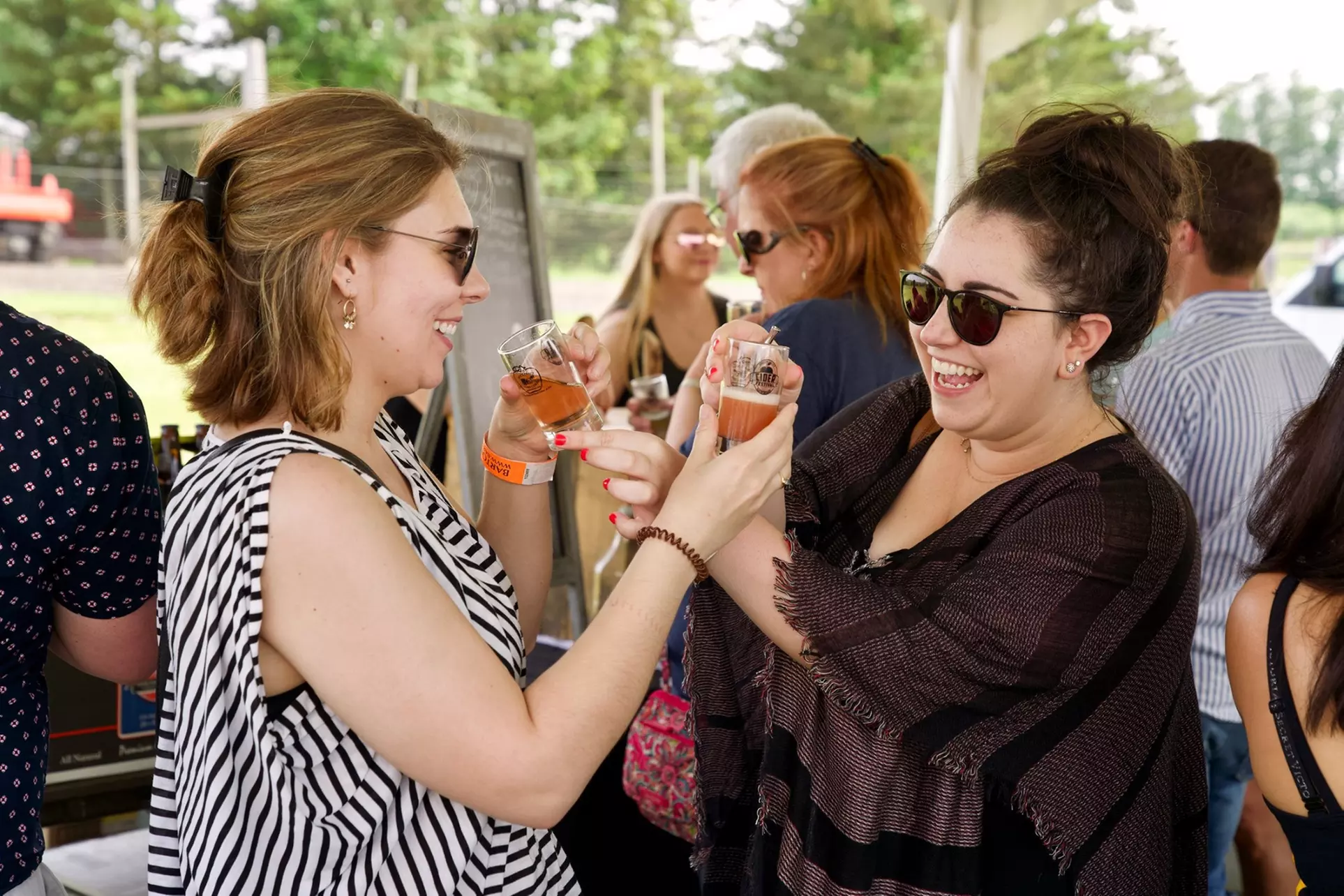 One GA/VIP Ticket to Hudson Valley Ciders, Seltzers, & Spirits 2025