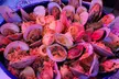Savor with $50, $100, or $150 Towards Food and Drinks at El Patron Mexican Grill (Up to 33%Off) - Second Medium