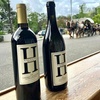 Image 5: Enjoy Wine Tasting for Two or Four with Take Home Bottle