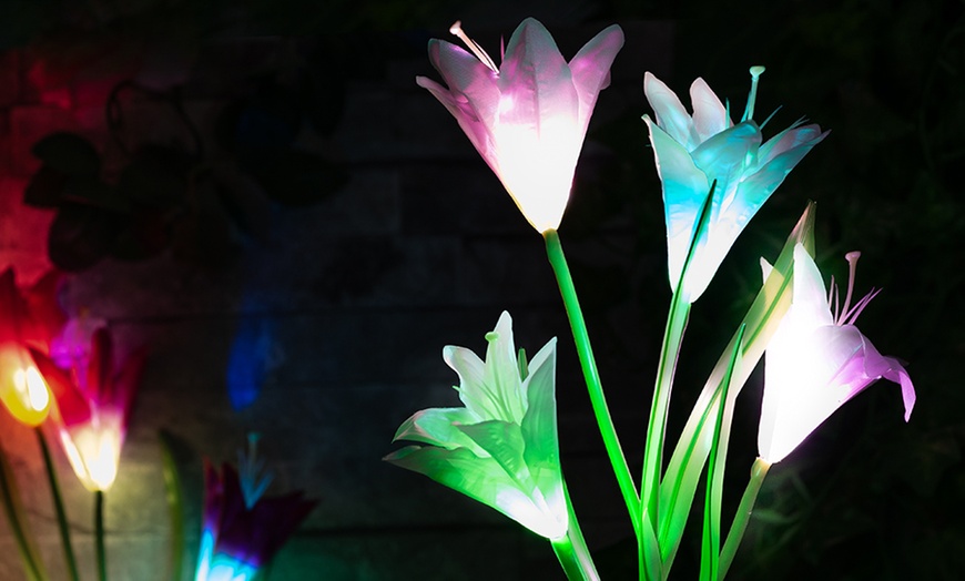 Image 7: Two-, Four- or Six-Pack of Solar Lily Flower Lights