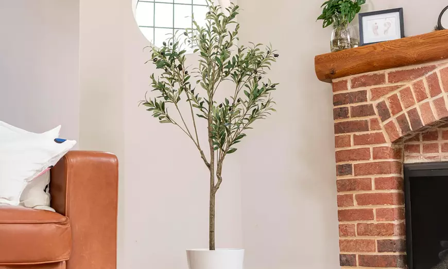 Image 22: Artificial Plants and Trees - Bamboo, Ficus, Olive and Palm
