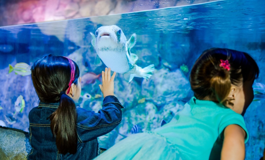 Image 9: Save Up to 46% - LEGOLAND California Tickets