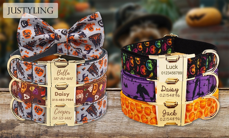 Image 7: Un collier aussi unique que votre animal