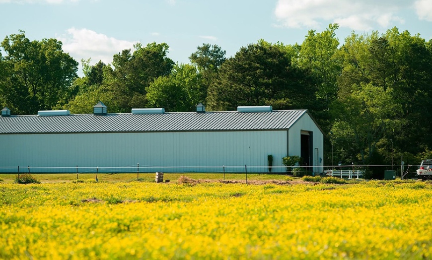 Image 2: Join the Spring Camp Day (April 7-11) or Summer Camp Day (June 23-27)