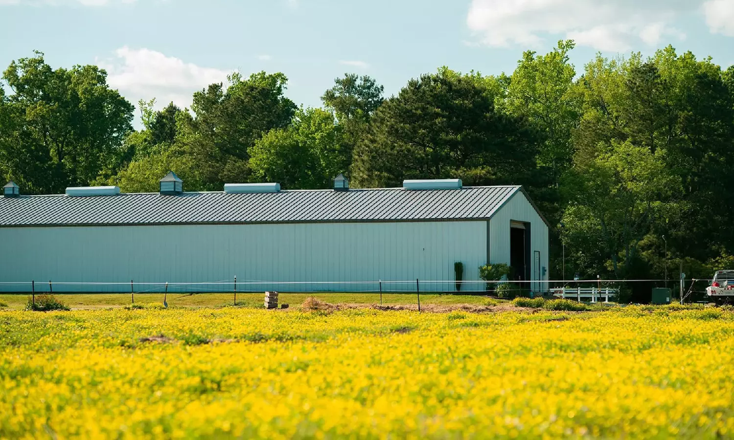 Join the Spring Camp Day (April 7-11) or Summer Camp Day (June 23-27)