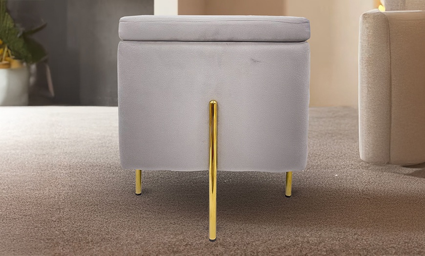 Image 5: Lapo puf contenedor de terciopelo 