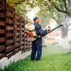 Image 2: Up to 77% Off on Pest Control Service - General at Ladybug Pest