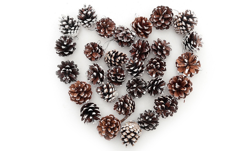 Image 5: Living And Home 30-Pack Real Pine Cones