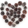Image 5: Living And Home 30-Pack Real Pine Cones